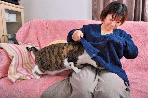 飼い主さんの上着に入る猫