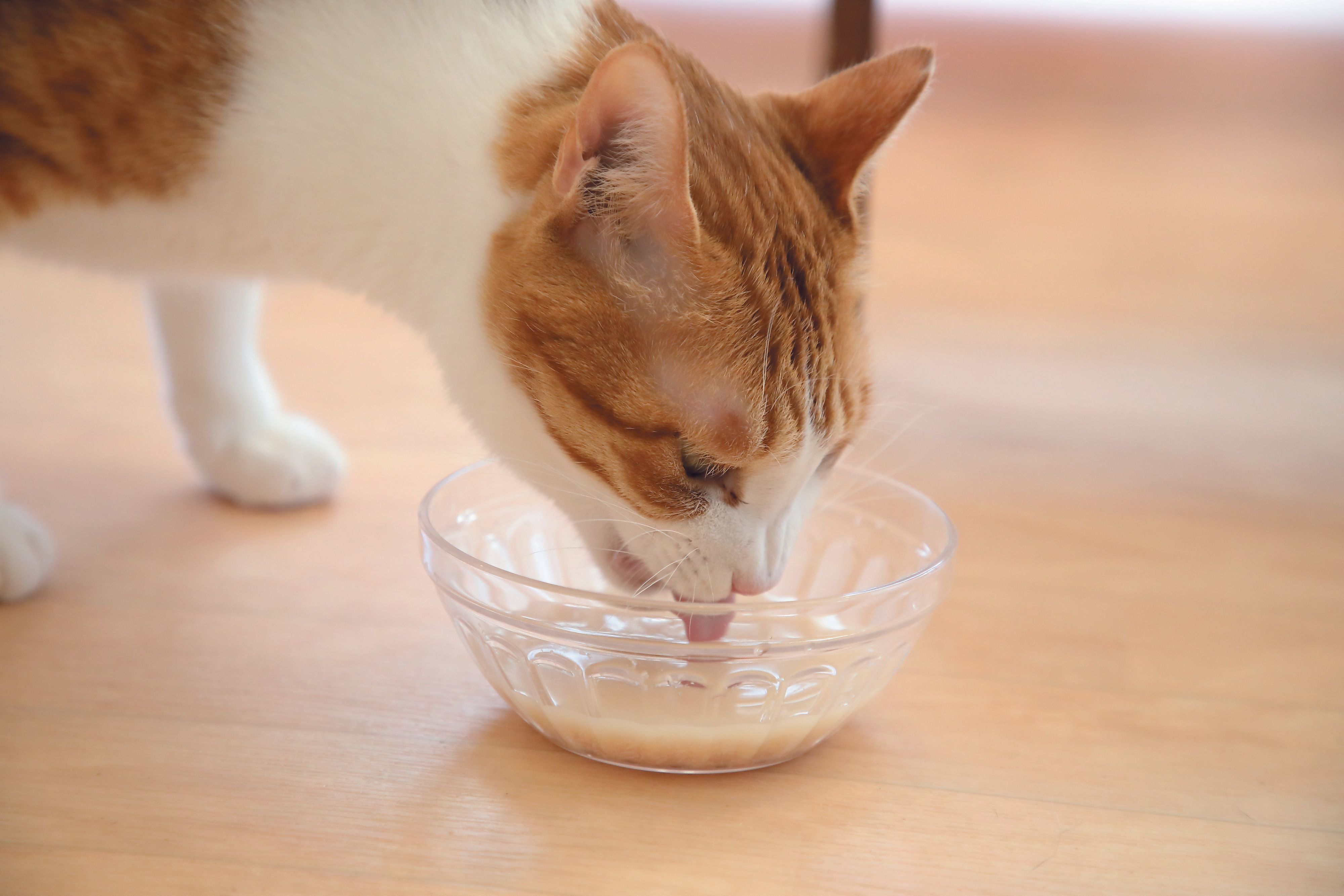 撮影／尾﨑たまき