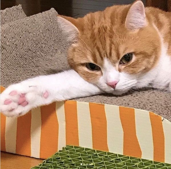 寝落ち寸前？！