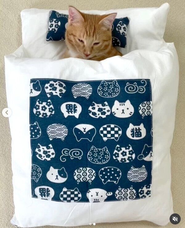 布団で眠るりんくん