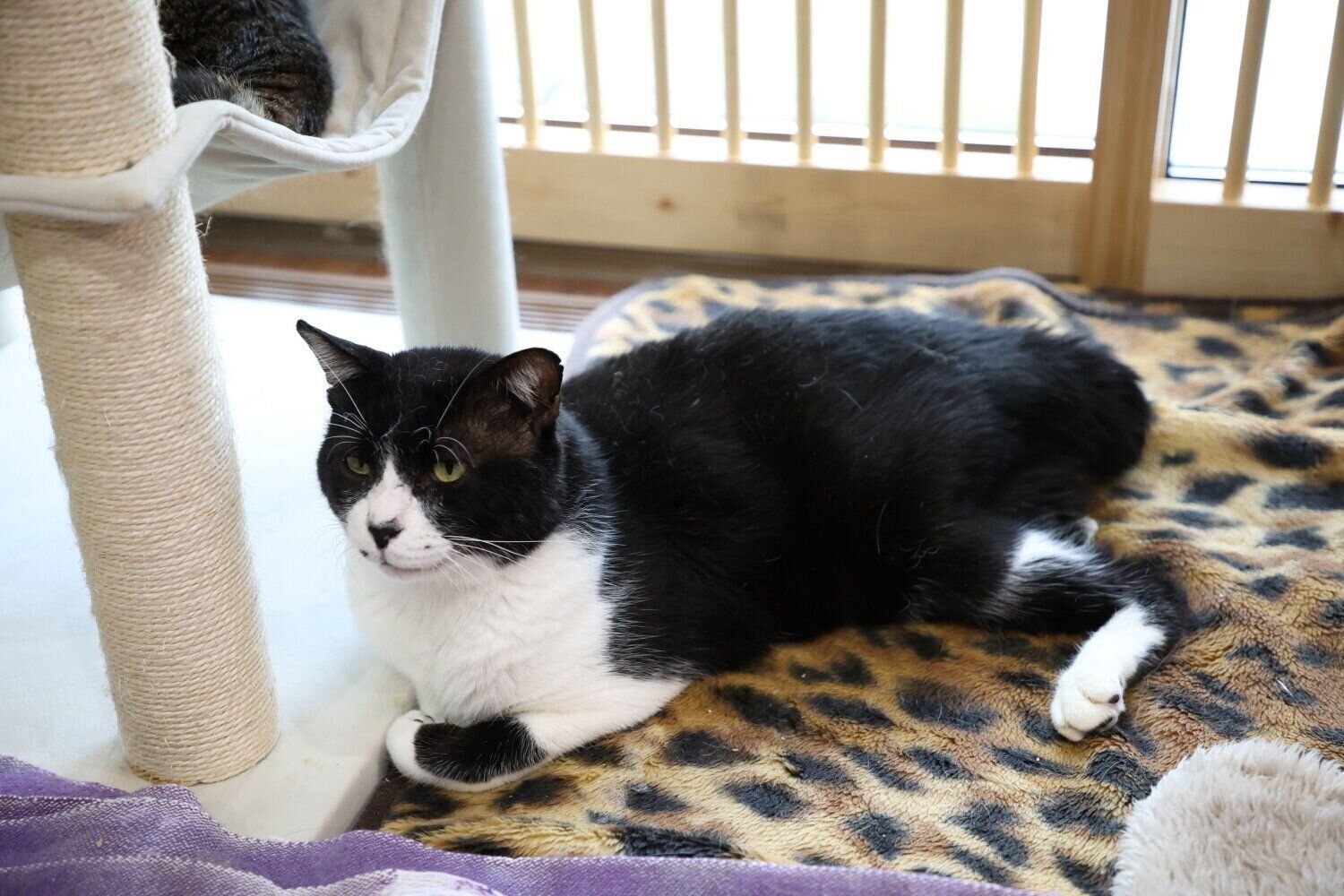 撮影／尾﨑たまき