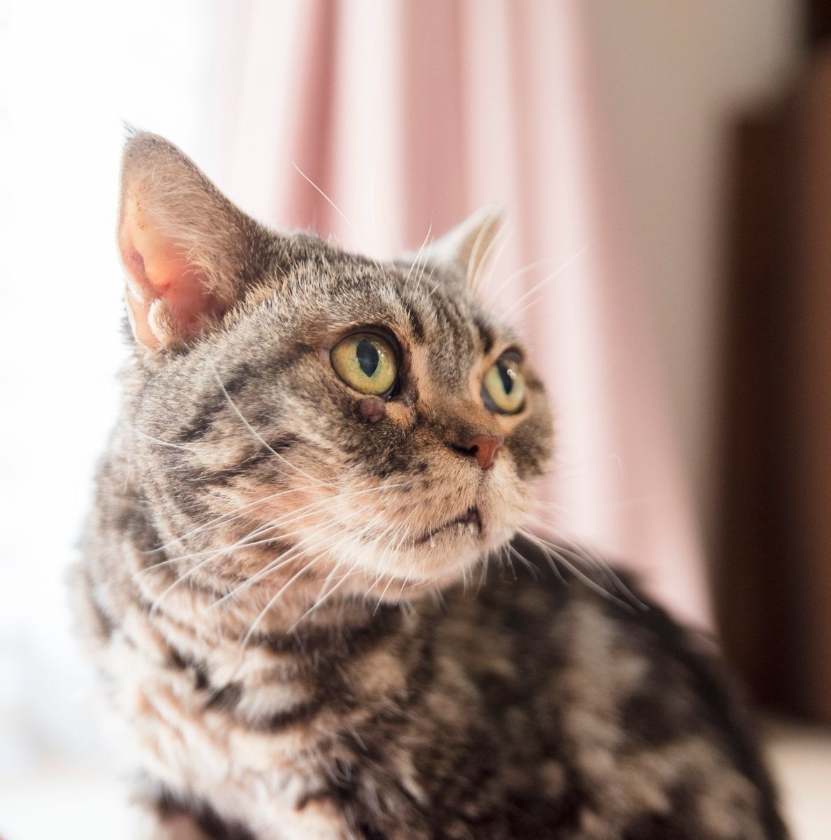 撮影／中川文作