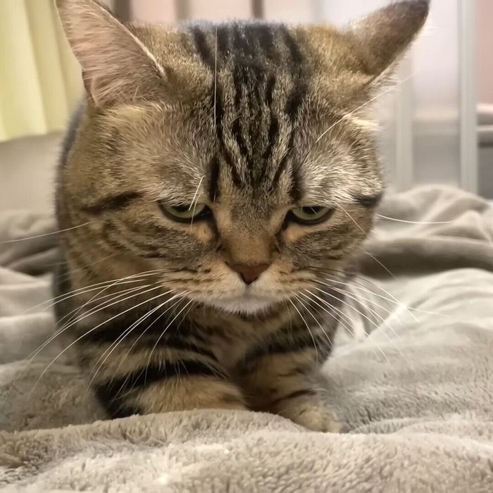 ふみふみするメルちゃん