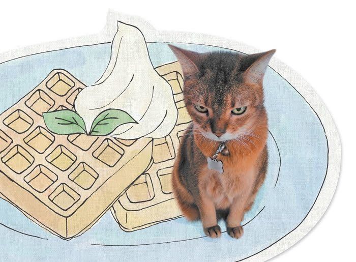 「ねこのきもち」2019年2月号