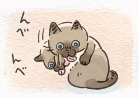 362話めサムネイル
