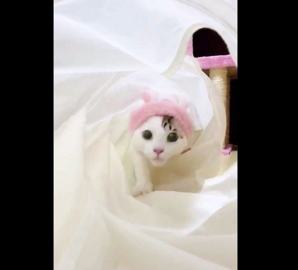 トンネルを駆け抜けるみんとちゃん