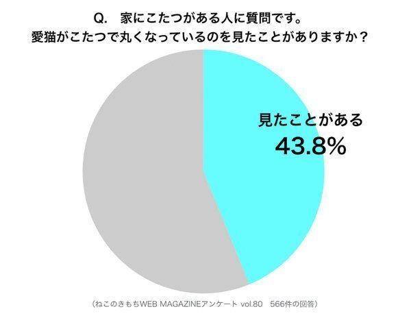 調査：愛猫がこたつで丸くなっているのを見たことがあるか