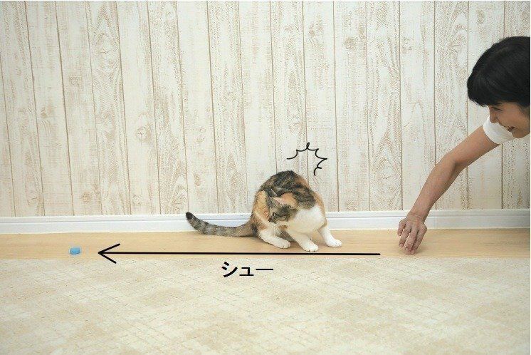 撮影／尾﨑たまき