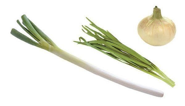 ネギ類