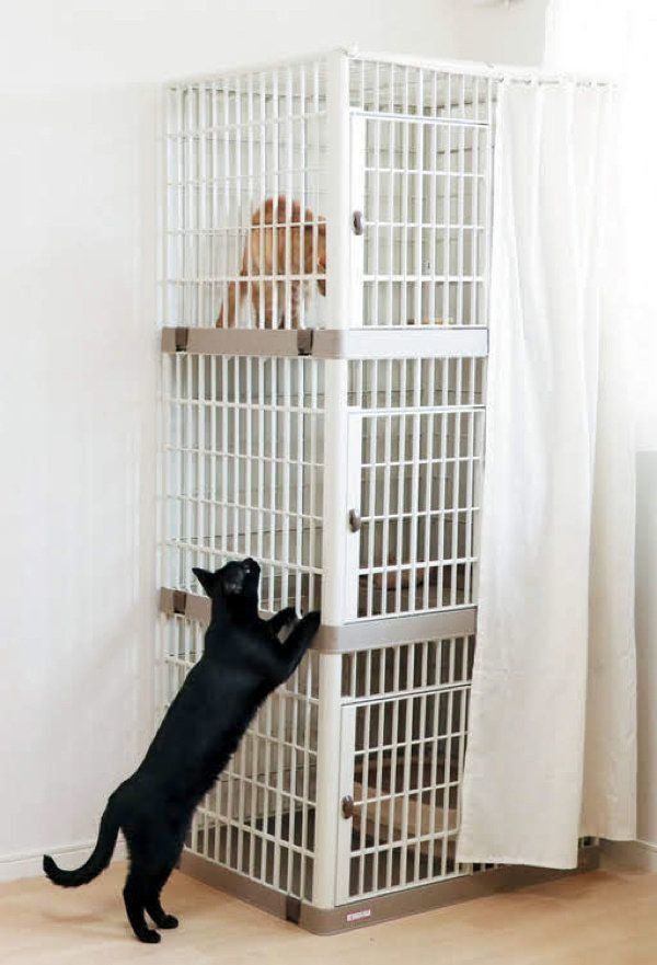 猫のケージのメリットと慣れさせ方