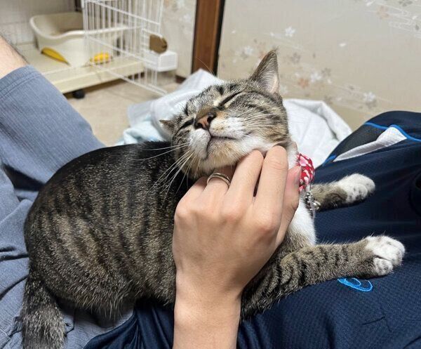 なでられてうっとりするごまちゃん