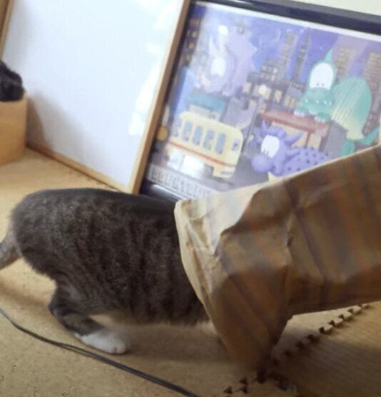 モテモテおはぎちゃん♡