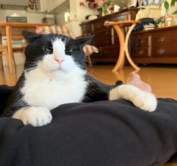 お父さんに甘えるキキ様