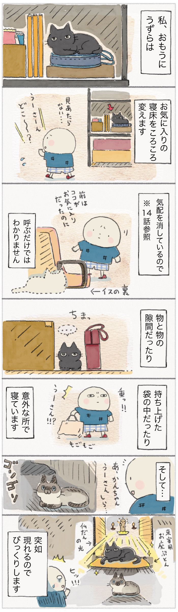 「ねこ連れ草」31話め