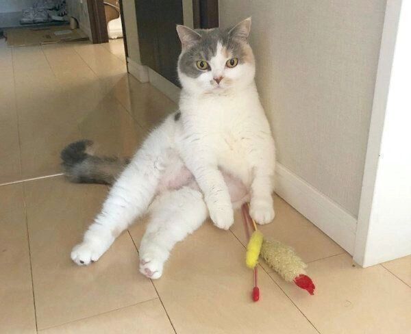 おもちゃをキープするねね子ちゃん