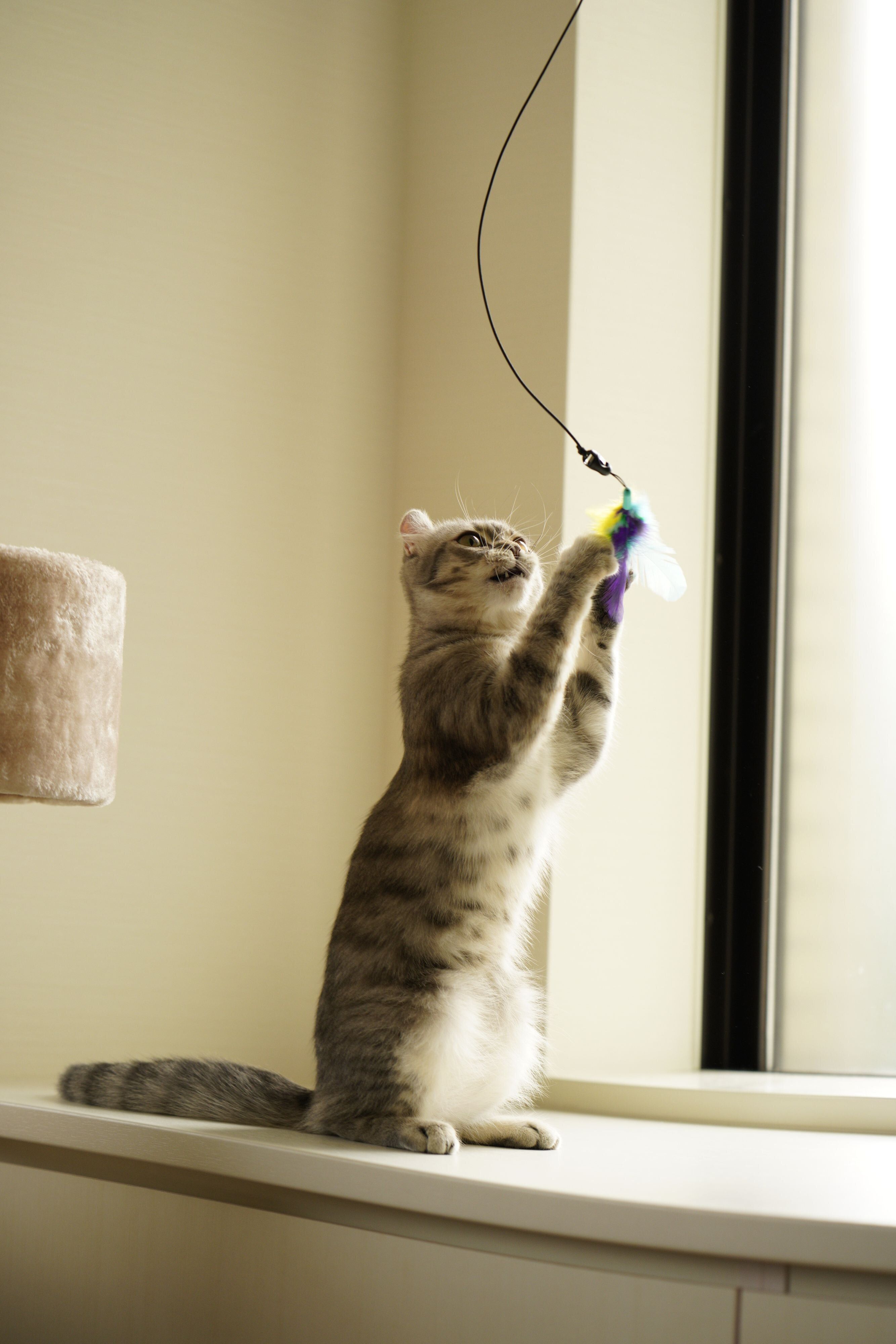 撮影／石原さくら