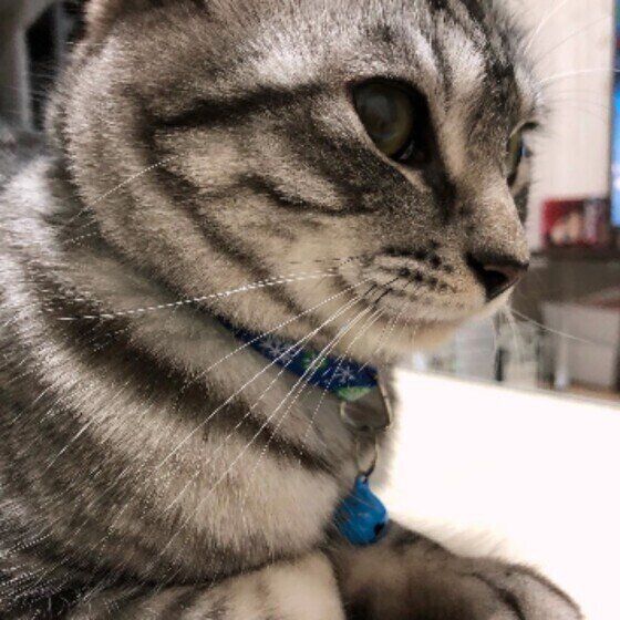 なにかをみつめるアルティシアちゃん