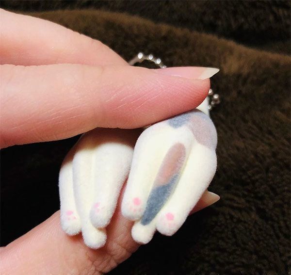 つままれるねこ