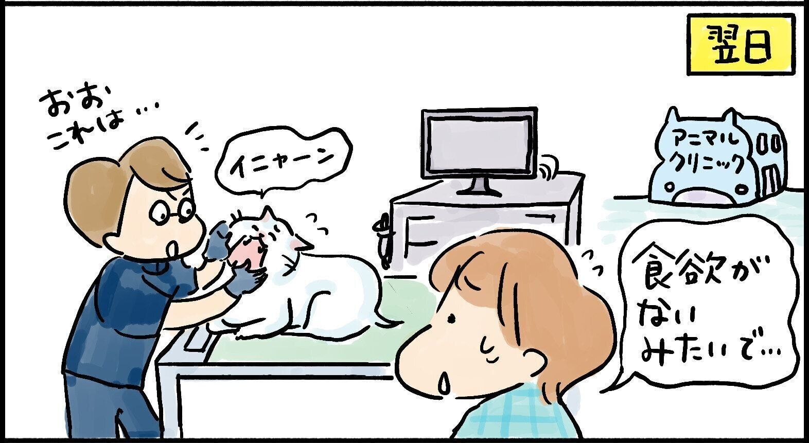 愛玩動物飼養管理士　猫　ねこ　ねこのきもち　資格　しつけ　日本愛玩動物協会　