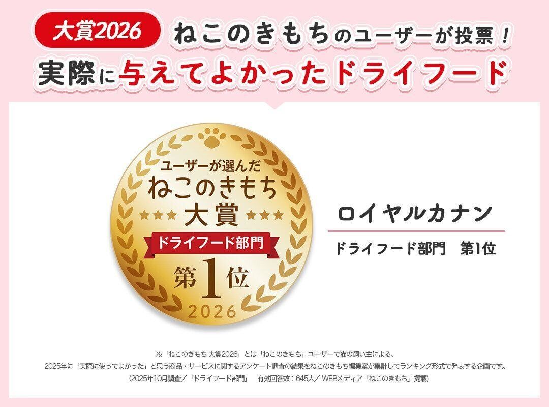 イメージ1