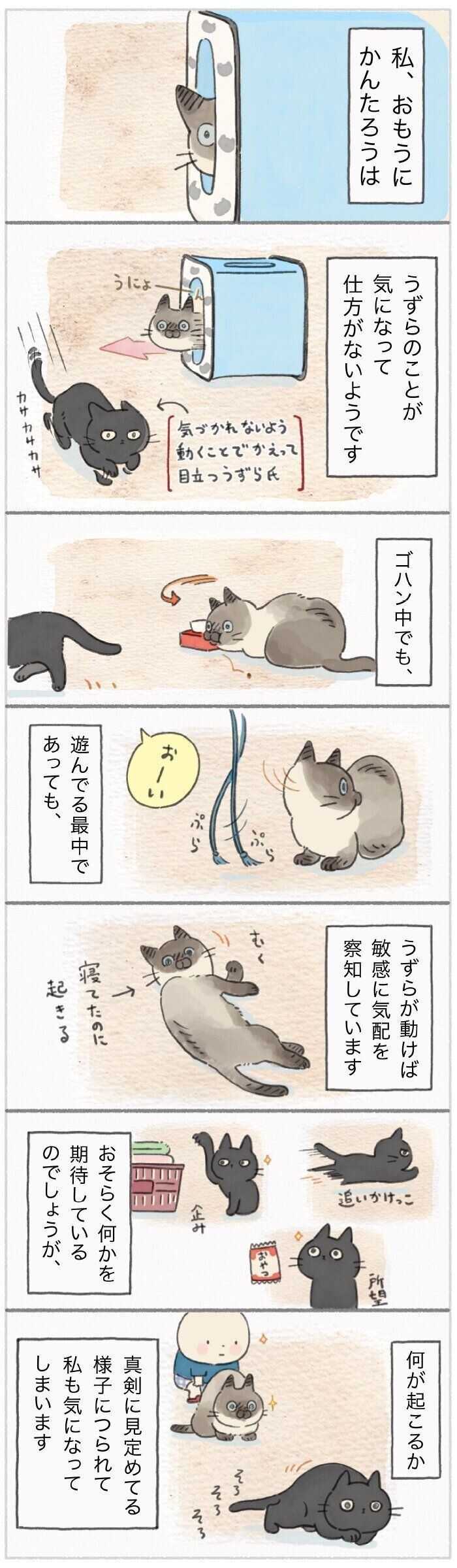 「ねこ連れ草」189話め