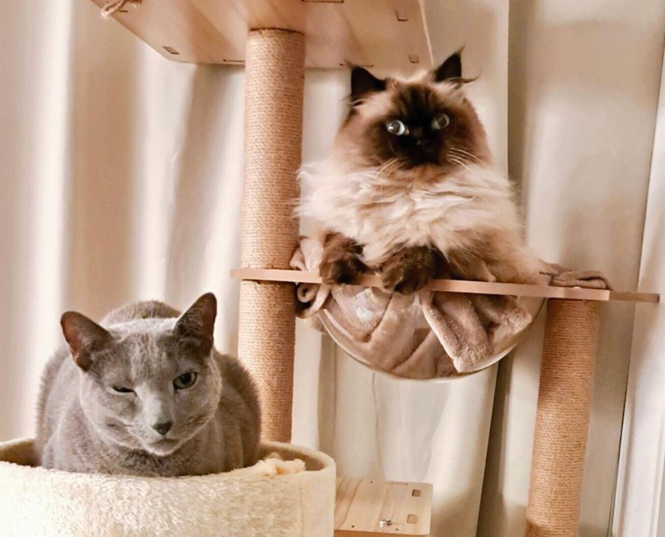 ハルくんとココくん。