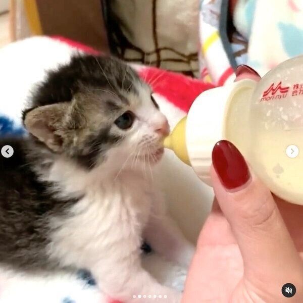 ミルクを飲むソラくん