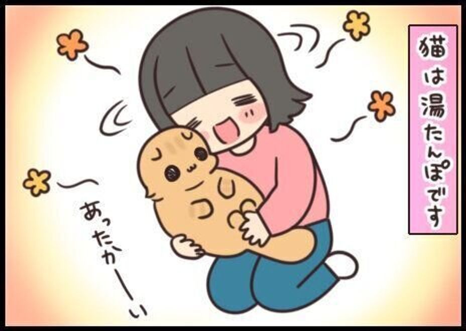 どちらが湯たんぽに 自然の湯たんぽは癒し効果もバツグン 連載 もふもふスコたん 157 ねこのきもちweb Magazine どちらが湯たんぽに 自然の湯たんぽは癒し効果もバツグン 連載 もふもふスコたん 157 ねこのきもちweb Magazine