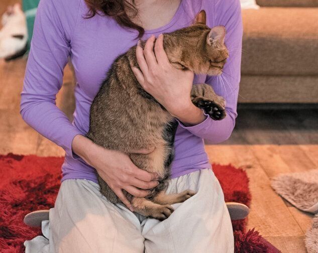 抱っこされる猫