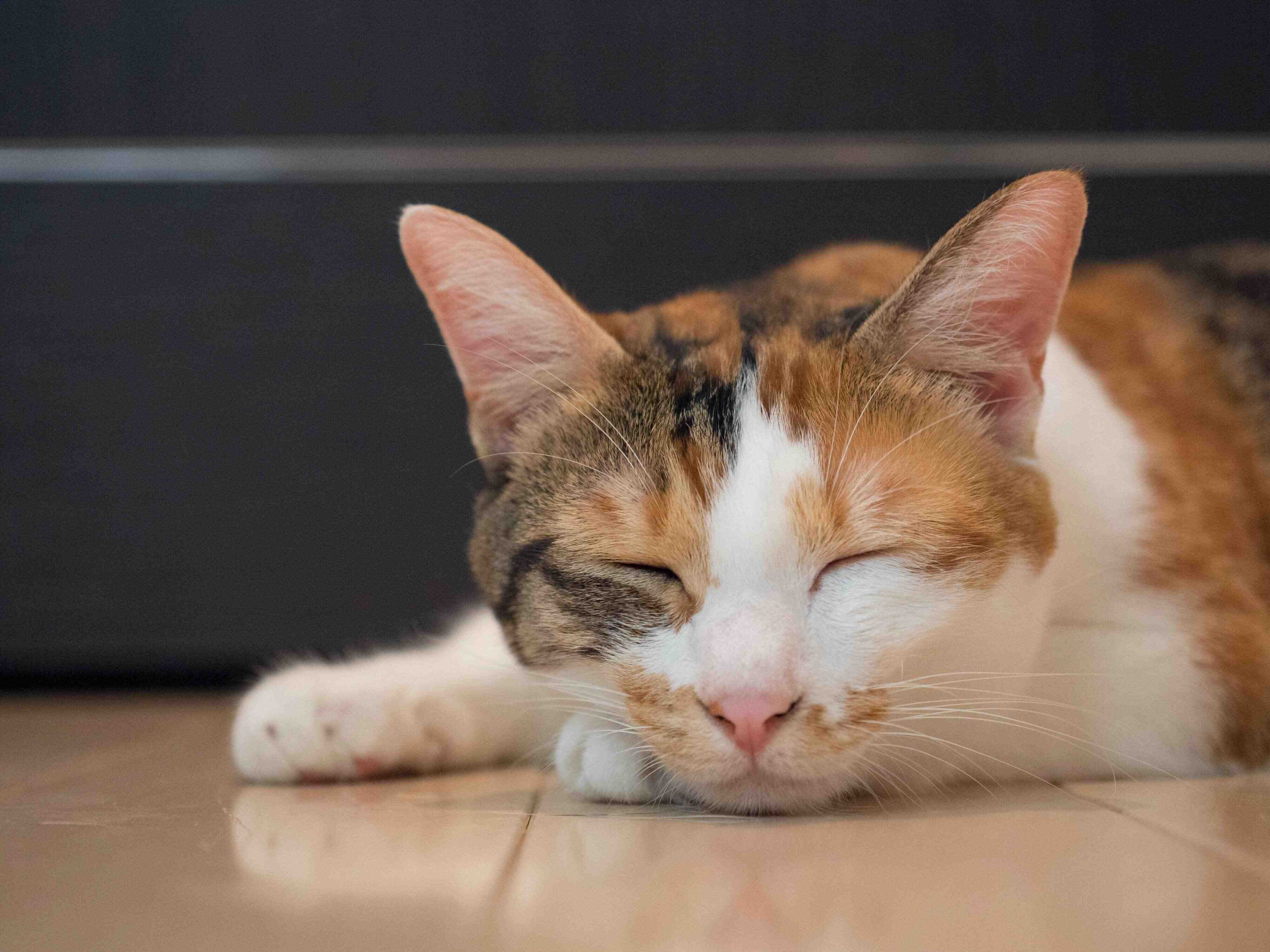 撮影／小森正孝