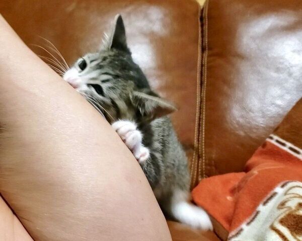 甘噛みするノアちゃん