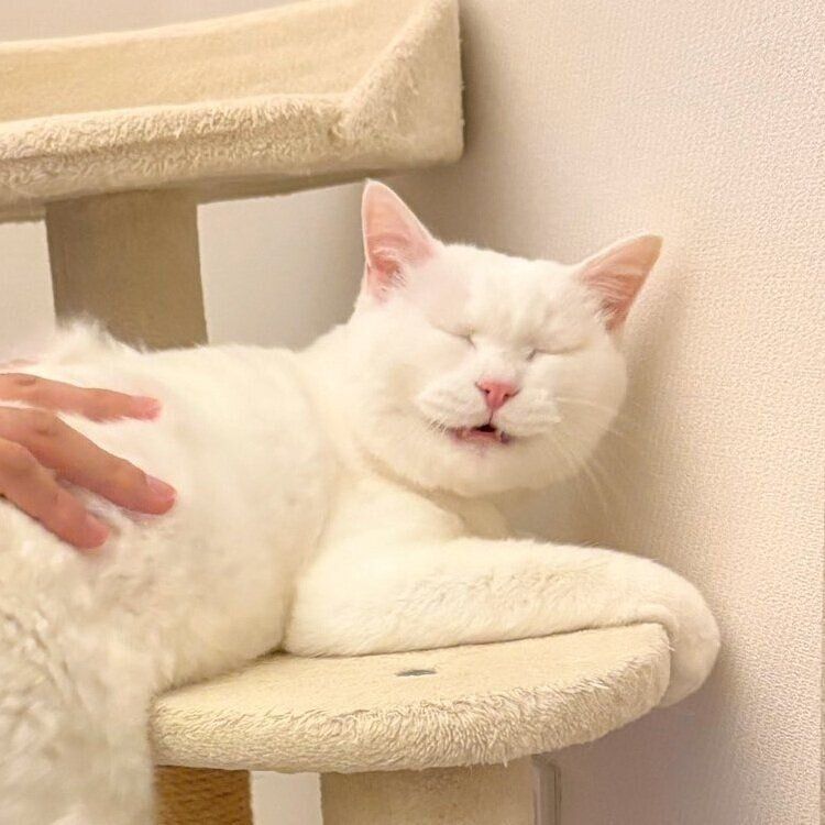 うっとりするような、最高にいい顔をするましろちゃん
