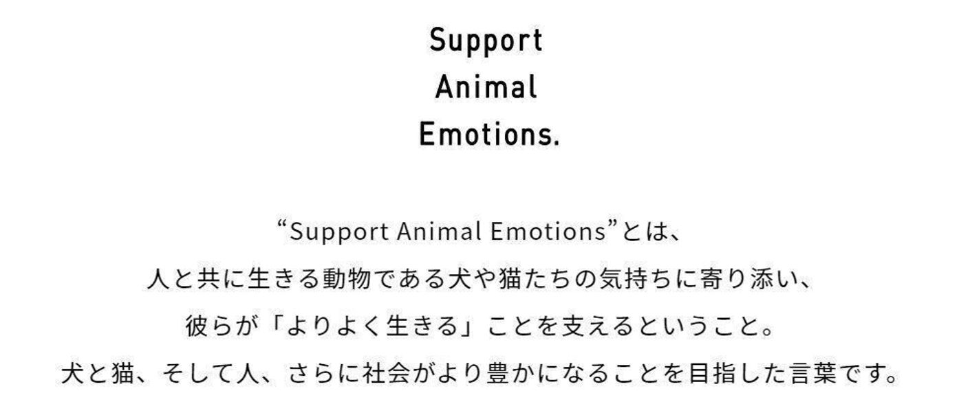 いぬねこグッズ部始動 こんな想いを胸に部活動始めます ねこのきもちweb Magazine いぬねこグッズ部始動 こんな想いを胸に部活動始めます ねこのきもちweb Magazine