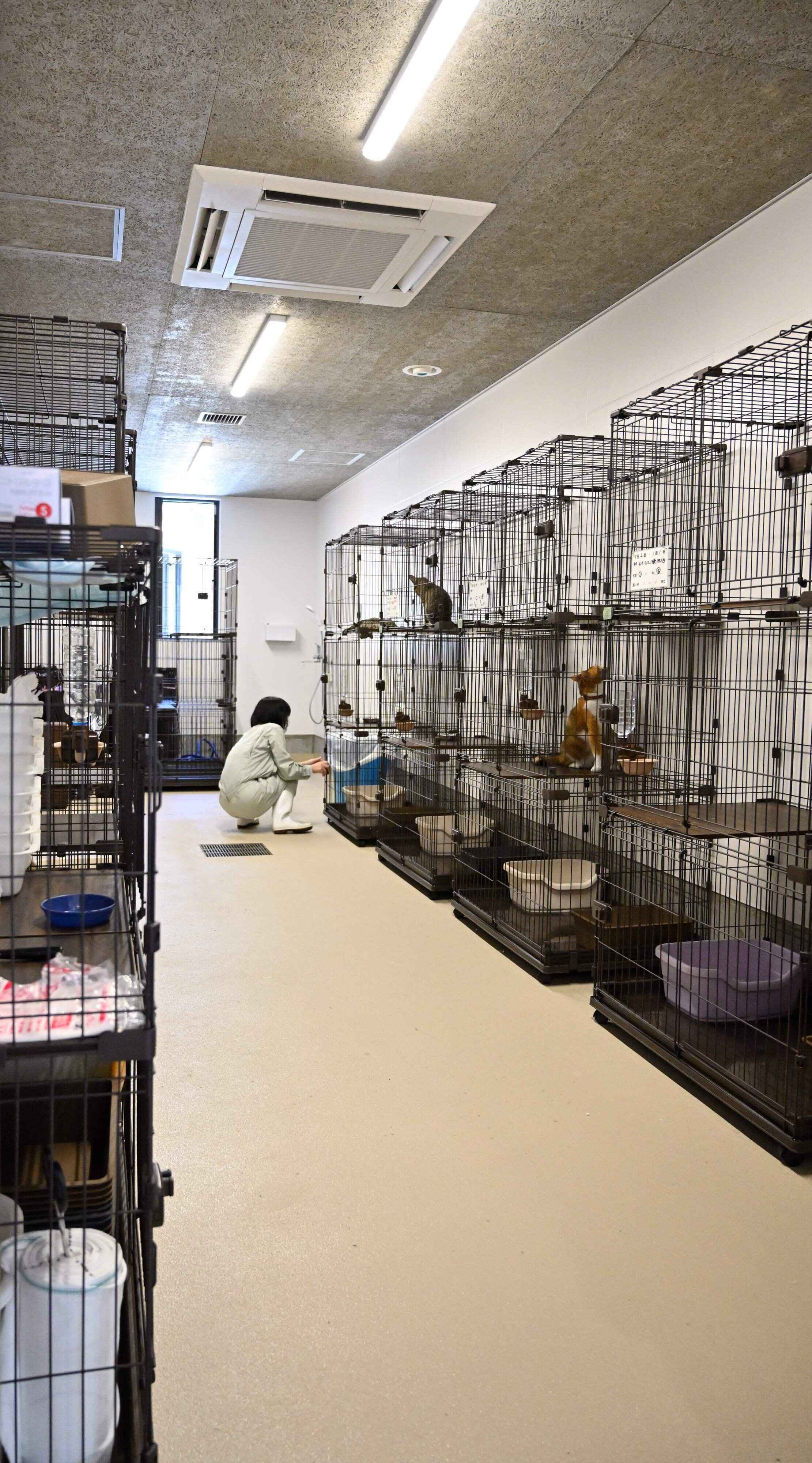 撮影／Akimasa Harada