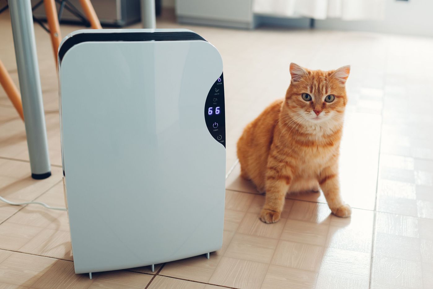 暖め過ぎは猫の体に負担をかける 猫のストレスにならない暖房器具の使い方 ねこのきもちweb Magazine 暖め過ぎは猫の体に負担をかける 猫のストレスにならない暖房器具の使い方 ねこのきもちweb Magazine