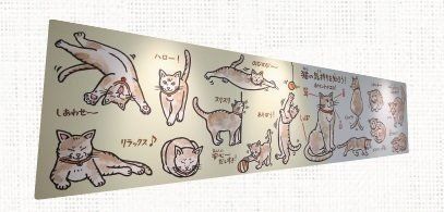  撮影／尾﨑たまき