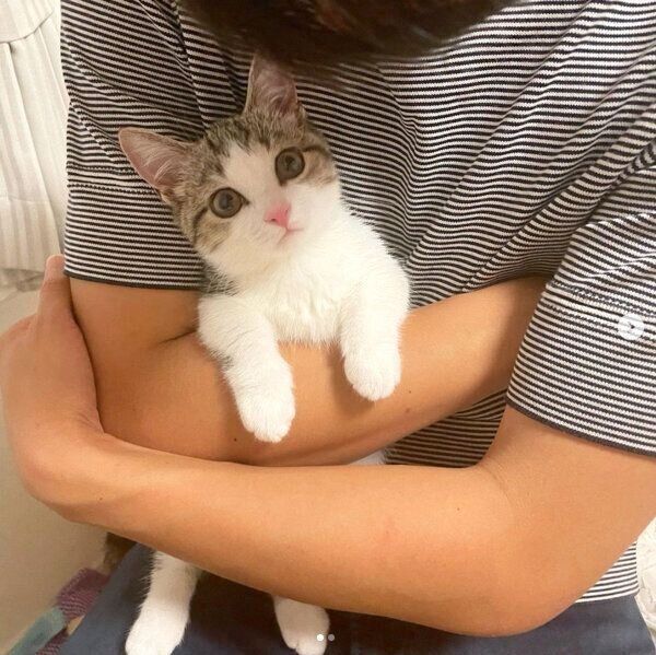 抱っこされて嬉しそうな琥太郎くん