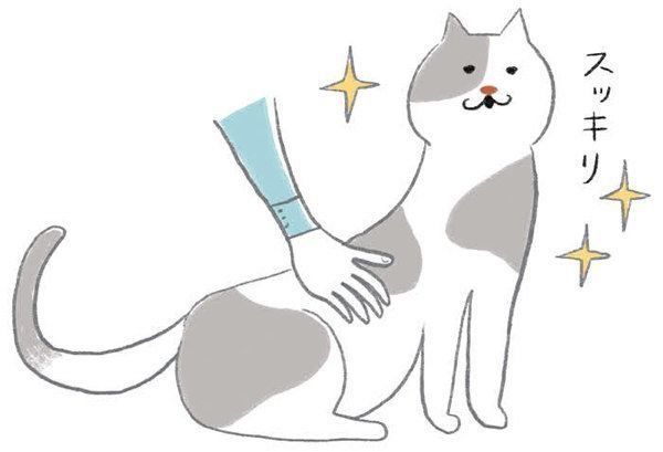 マッサージで猫と飼い主さんがお互いに癒しあえるヒミツ