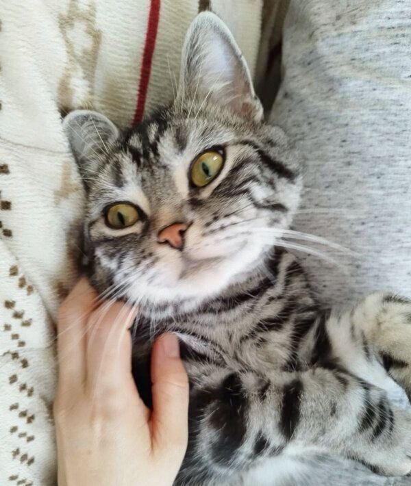 まったりするユキチくん