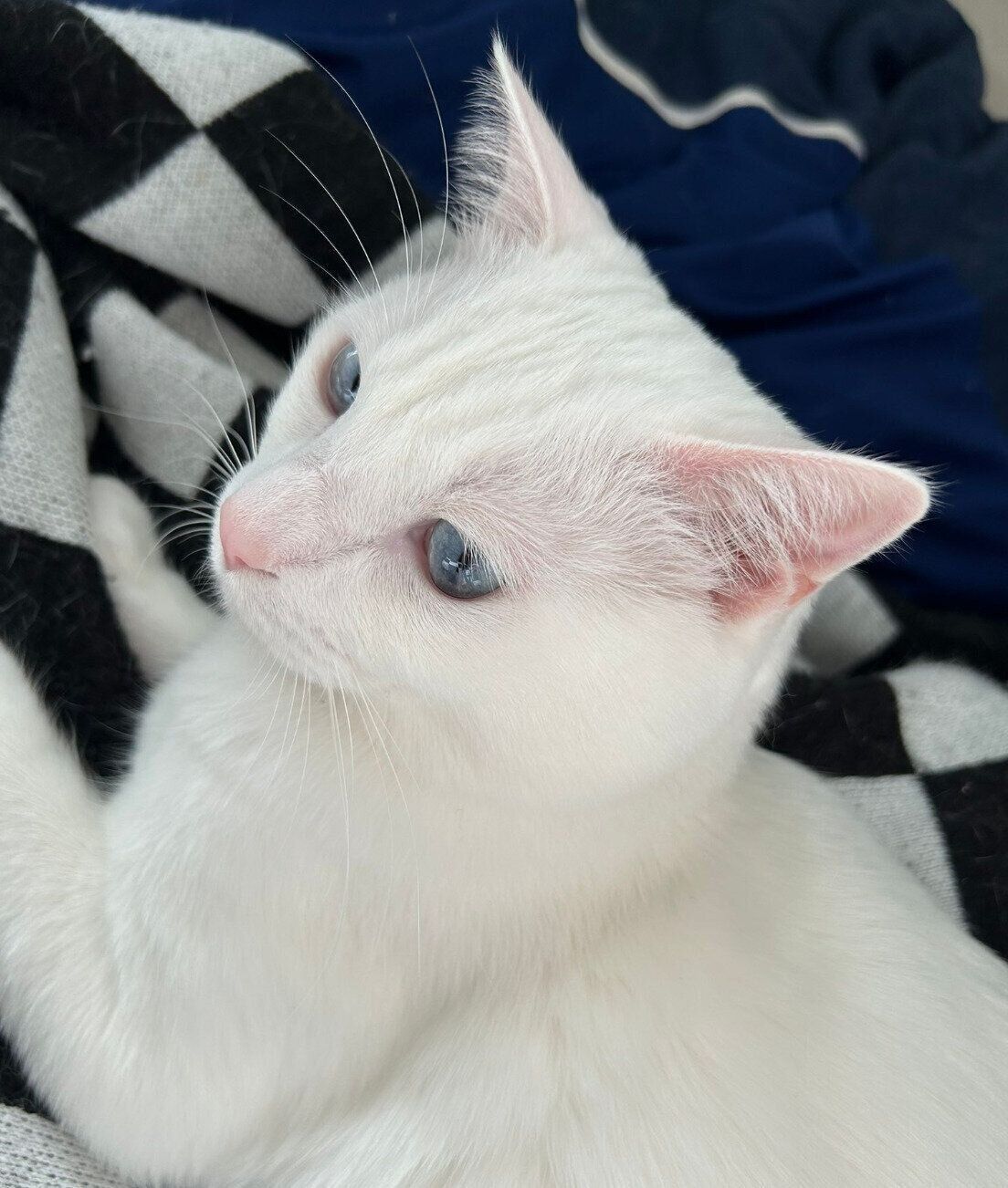 どこかを見つめるあさひくん