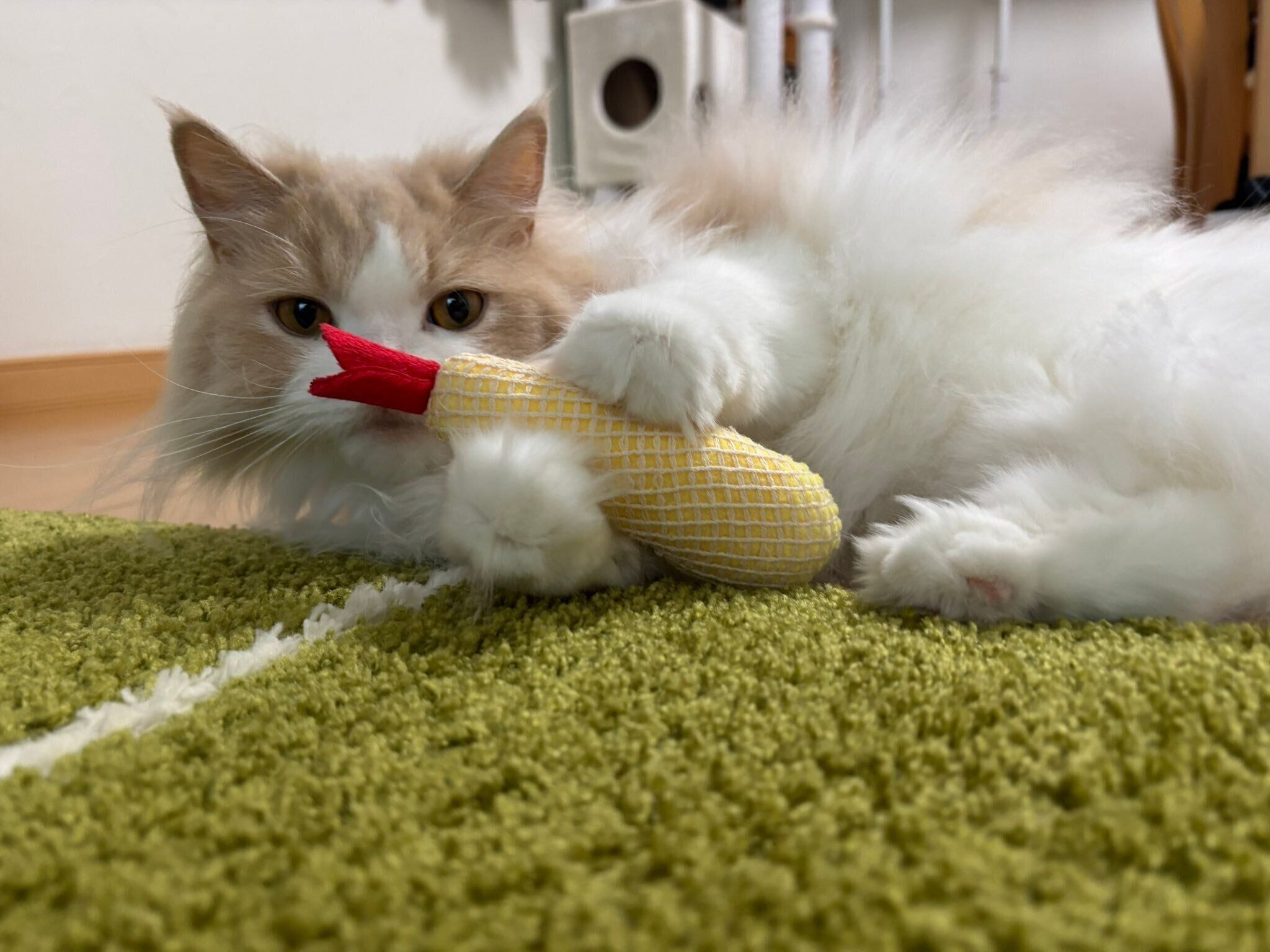 おもちゃを掴む和音ちゃん