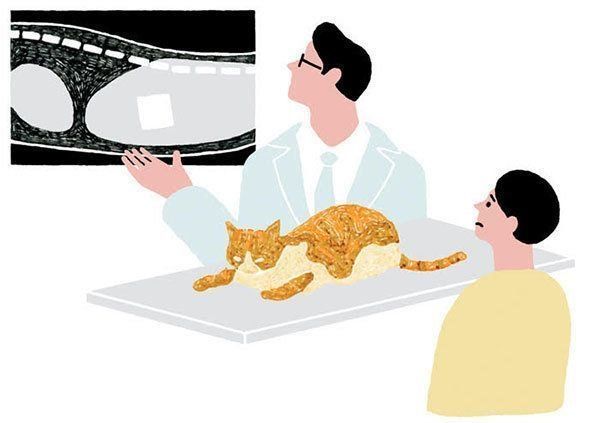 動物病院での処置