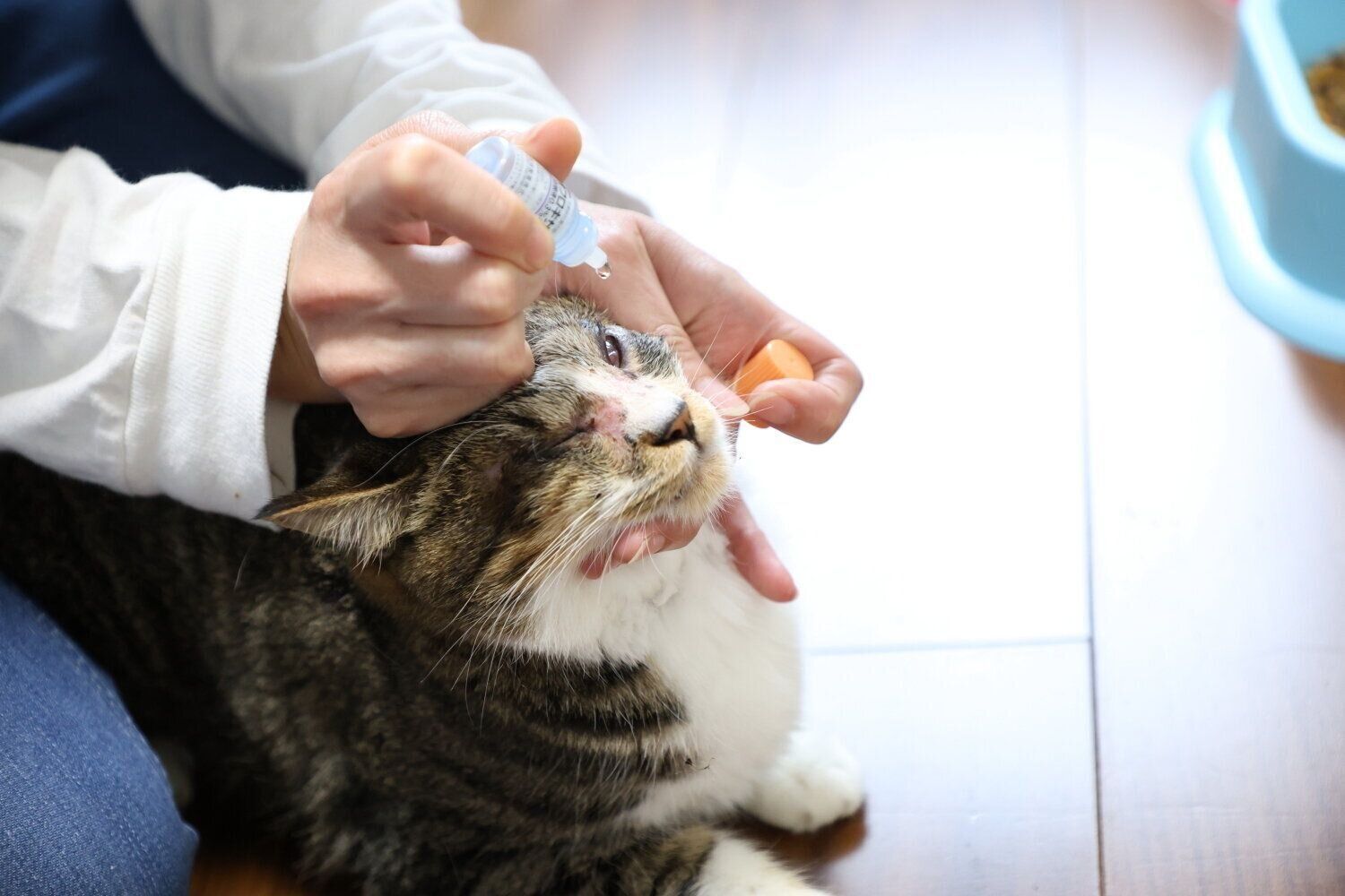 撮影／尾﨑たまき