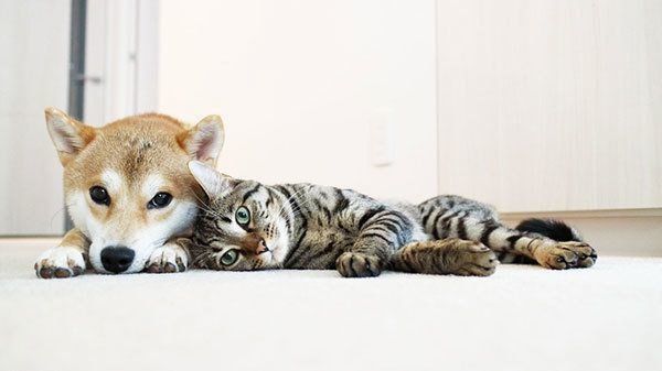 ゆうくん、とろくん