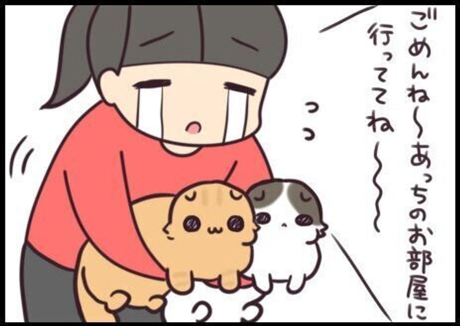 たまにやらかすと焦る 割れたガラスを猫が踏まないために 最終チェックは自分の足裏 連載 もふもふスコたん 193 ねこのきもちweb Magazine たまにやらかすと焦る 割れたガラスを猫が踏まないために 最終チェックは自分の足裏 連載 もふもふスコたん 193 ねこのきもちweb Magazine