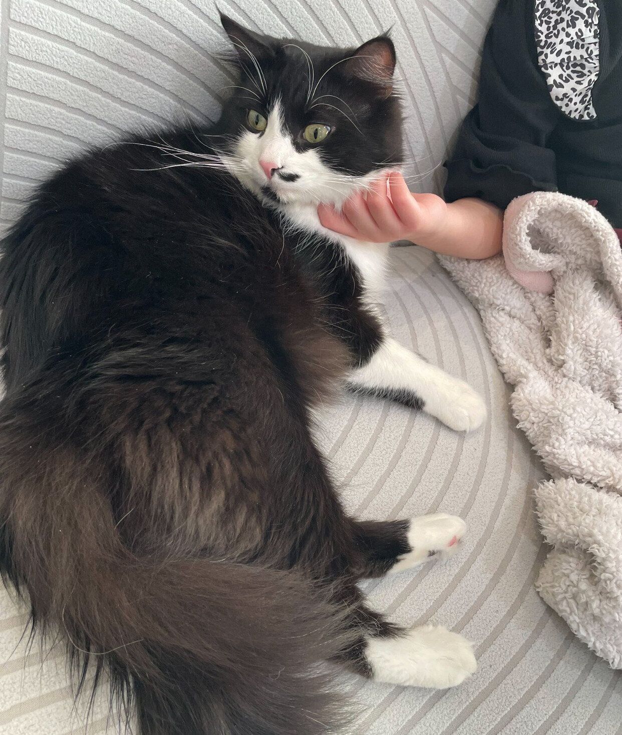 娘さんとまったりするノルくん