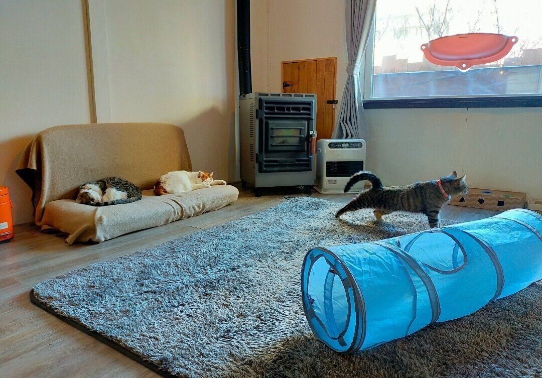 おうちでくつろぐような空間