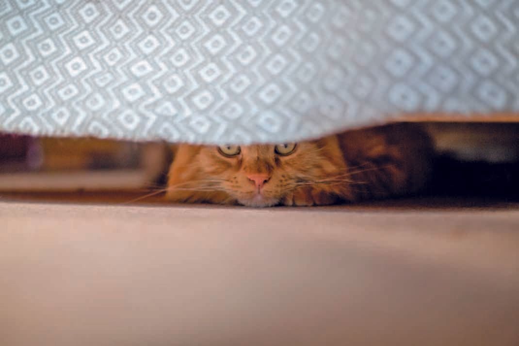 撮影／長谷川里美