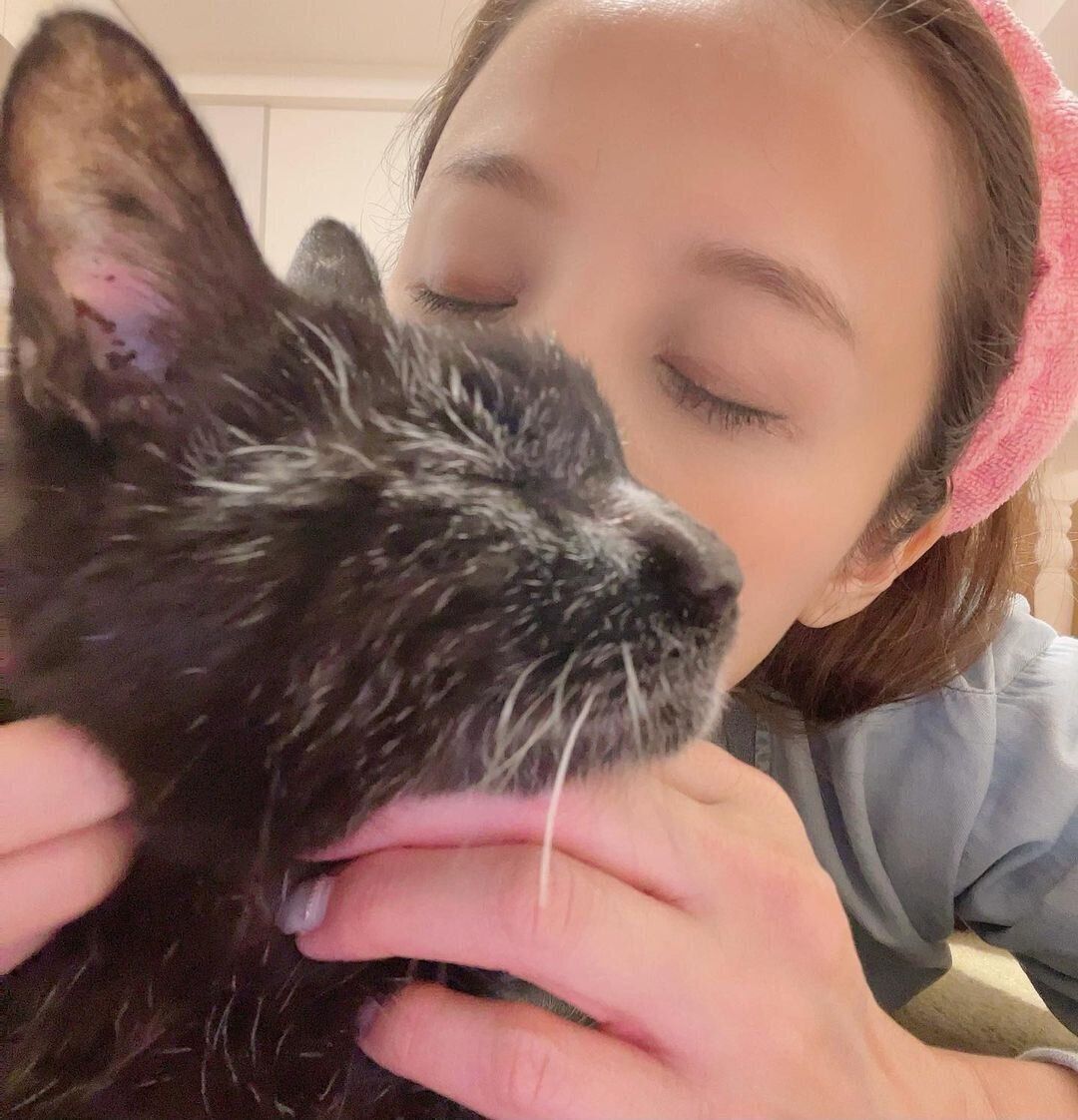 23歳の黒猫に、信頼の猫吸い