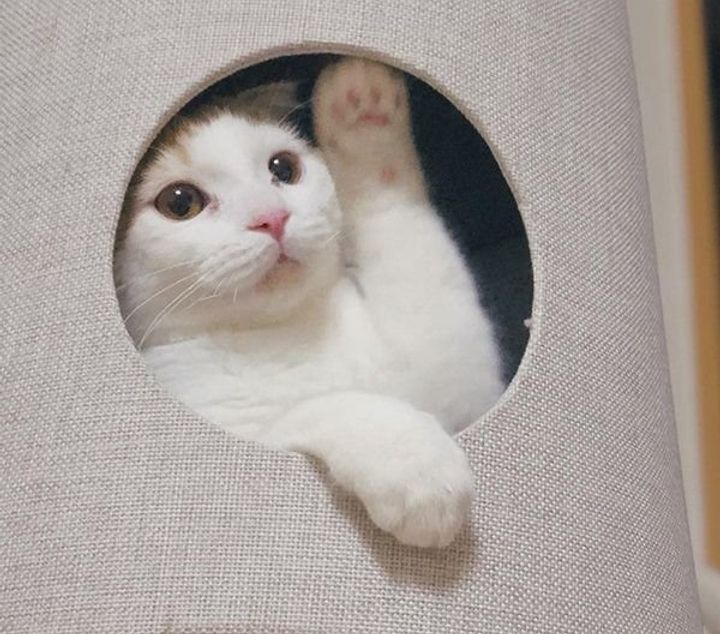 Ol9d9exycyik M Ol9d9exycyik M